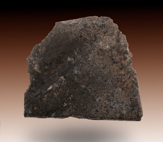 Meteorite "Dhofar 837"