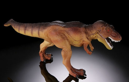 T-Rex by Safari