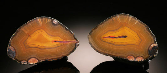 Fighting Blood Agate