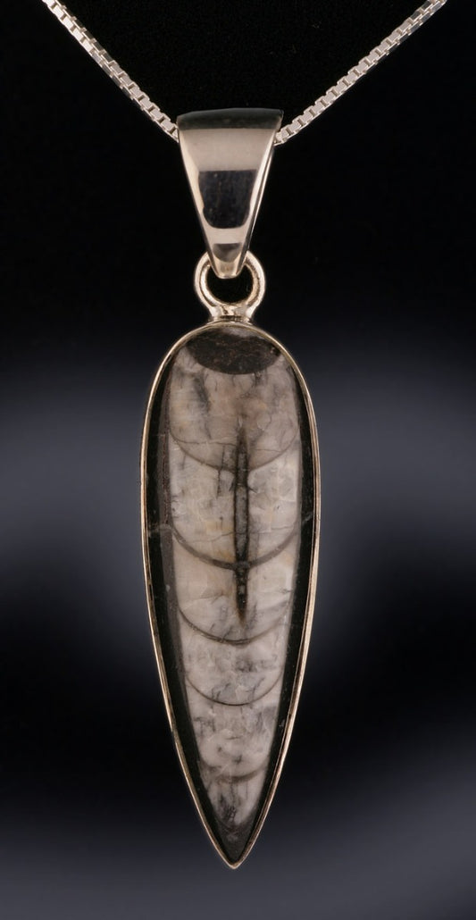 Orthoceras Pendant