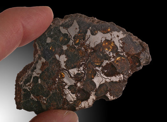 24g Brahin Pallasite Meteorite