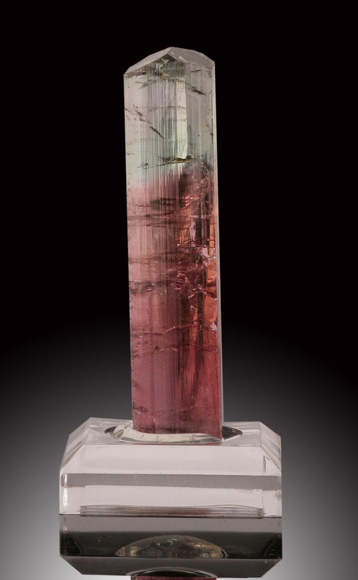 Bicolor Tourmaline