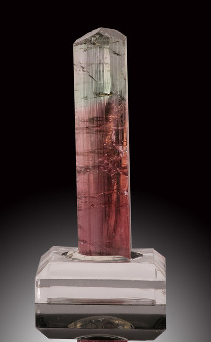 Bicolor Tourmaline