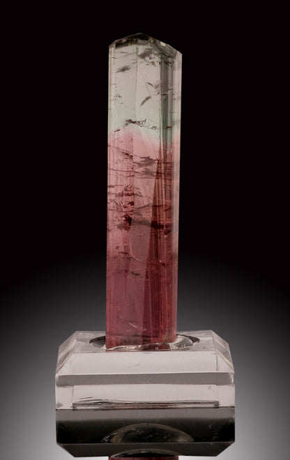 Bicolor Tourmaline