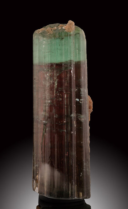 Bicolor Tourmaline with Green Cap