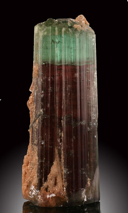 Bicolor Tourmaline with Green Cap