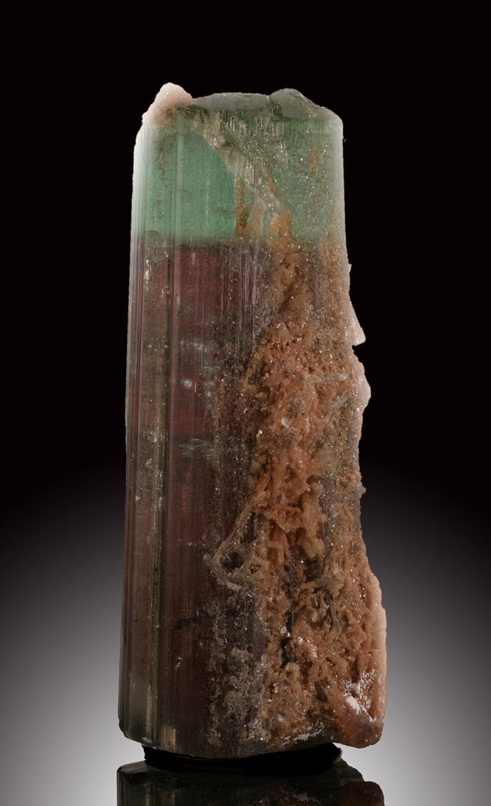 Bicolor Tourmaline with Green Cap