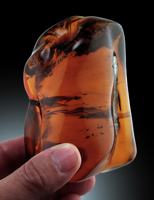 Large Green Amber Specimen (244.7 grams!)