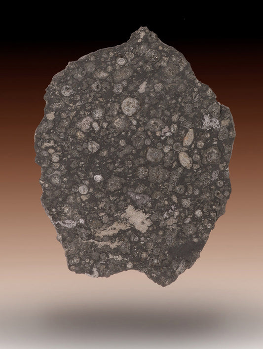 Allende Meteorite