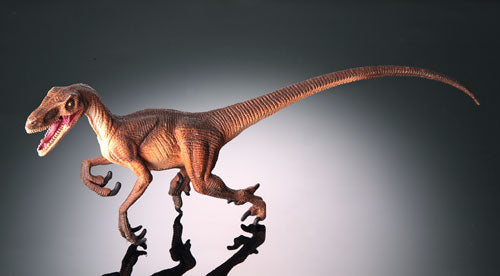Velociraptor